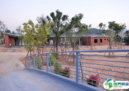 漳州龙海食品博览园会展中心图片