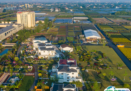 海宁国际花卉城