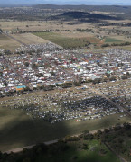 澳大利亚新南威尔士冈尼达