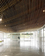 日本今治体育馆