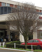 英国伦敦希思罗酒店