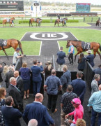 澳大利亚坎布拉格兰奇赛马场