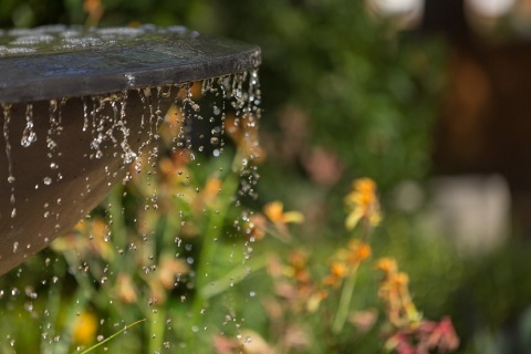 澳洲澳大利亚墨尔本花卉园林展览会展会现场图片