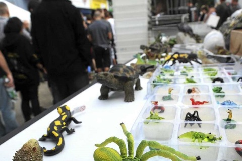 德国哈姆玻璃容器宠物展览会展会现场图片