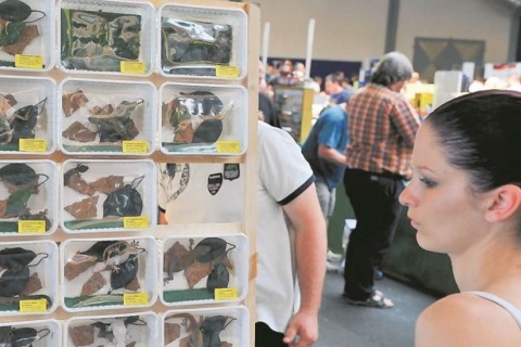 德国哈姆玻璃容器宠物展览会展会现场图片