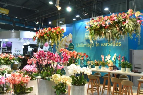 中国（北京）国际花卉园艺展览会展会现场图片