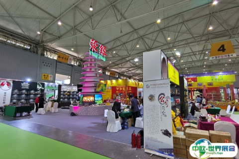 山东济南国际茶博会展会现场图片