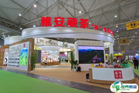 山东济南国际茶博会展会现场图片