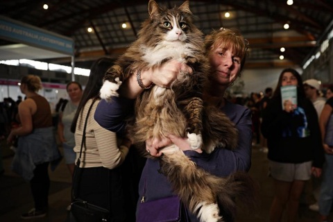 澳洲澳大利亚墨尔本宠物展览会展会现场图片