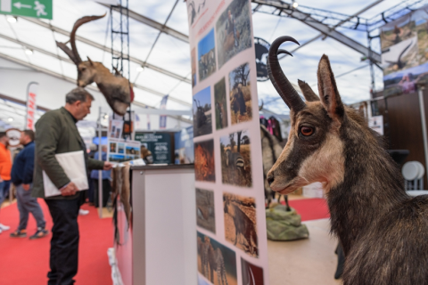 法国狩猎展览会展会现场图片
