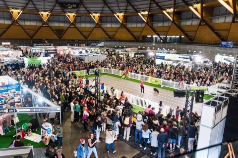 澳洲澳大利亚墨尔本宠物展览会展会现场图片