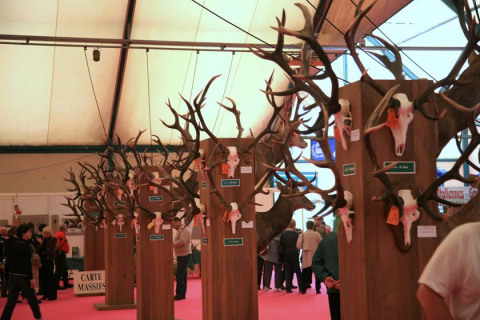 法国狩猎展览会展会现场图片