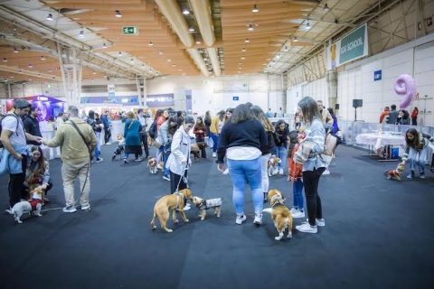 葡萄牙里斯本宠物用品展览会展会现场图片