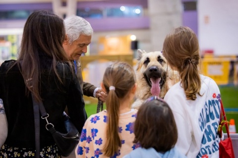 葡萄牙里斯本宠物用品展览会展会现场图片