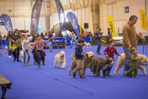 葡萄牙里斯本宠物用品展览会展会现场图片
