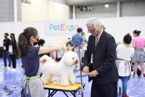 新加坡宠物用品展览会展会现场图片