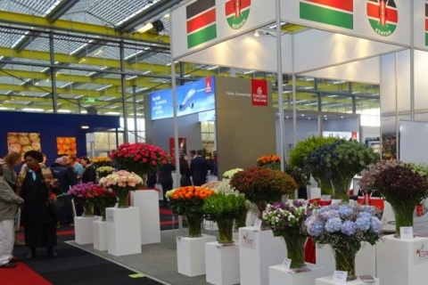 土耳其伊斯坦布尔花卉园艺展览会展会现场图片