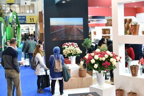 土耳其伊斯坦布尔花卉园艺展览会展会现场图片