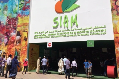 摩洛哥农业及畜牧展览会展会现场图片