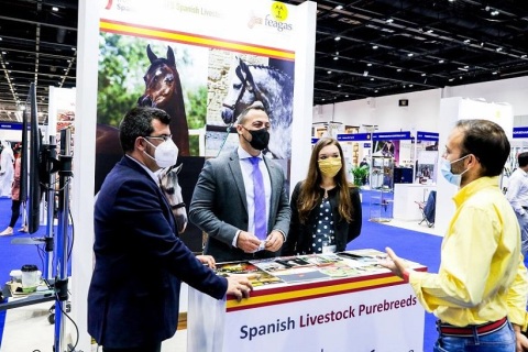 中东迪拜马术马具展览会展会现场图片