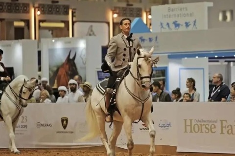 中东迪拜马术马具展览会展会现场图片