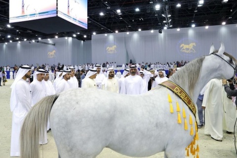 中东迪拜马术马具展览会展会现场图片