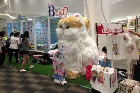 泰国曼谷猫展展会现场图片