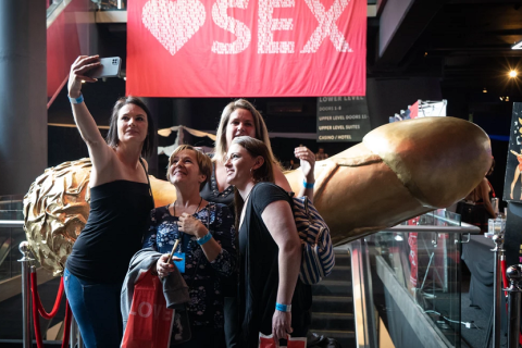 南非成人用品、情趣内衣展览会展会现场图片