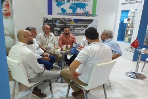 土耳其伊斯坦布尔畜牧展览会展会现场图片