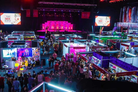南非成人用品、情趣内衣展览会展会现场图片