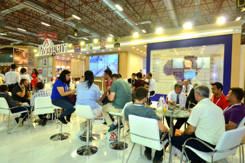 土耳其伊斯坦布尔畜牧展览会展会现场图片