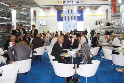 土耳其伊斯坦布尔畜牧展览会展会现场图片