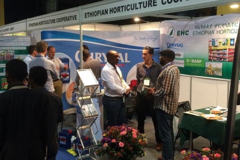 印度花卉园林园艺展览会展会现场图片