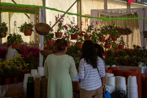 印度花卉园林园艺展览会展会现场图片