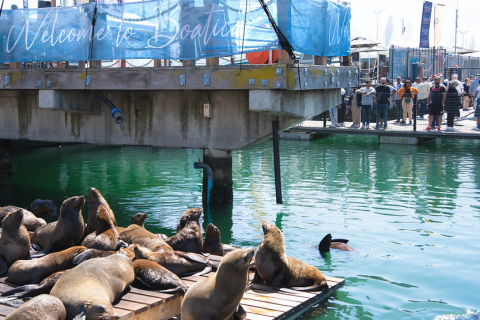 南非开普敦游艇展览会展会现场图片