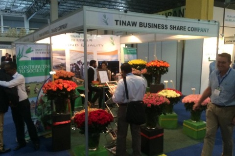 印度花卉园林园艺展览会展会现场图片