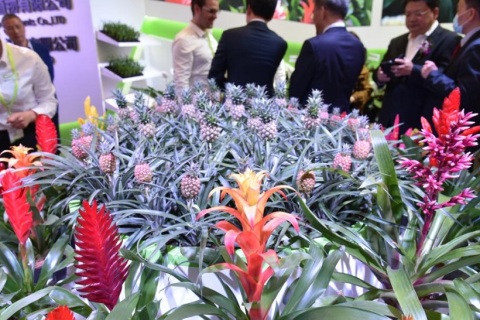 中国（上海）国际花卉园艺展览会展会现场图片