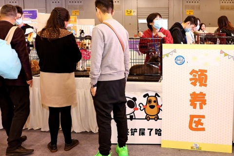 重庆国际宠物展-重庆宠博会展会现场图片
