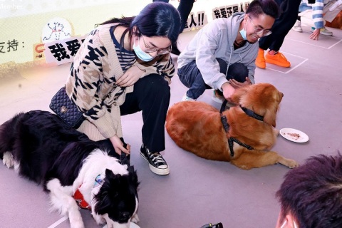 重庆国际宠物展-重庆宠博会展会现场图片