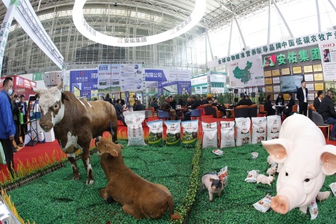 东北三省畜牧业交易博览会-东北三省家禽交易会展会现场图片