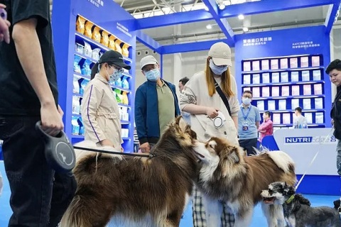 西北甘肃宠物用品展览会展会现场图片