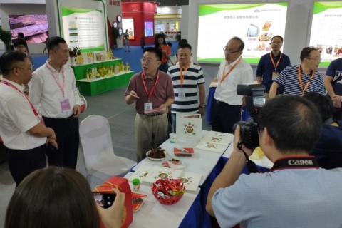 （南京）第十五届IEOE国际粮油产业博览会展会现场图片