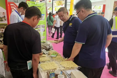 中国（合肥）坚果果干食品展览会展会现场图片