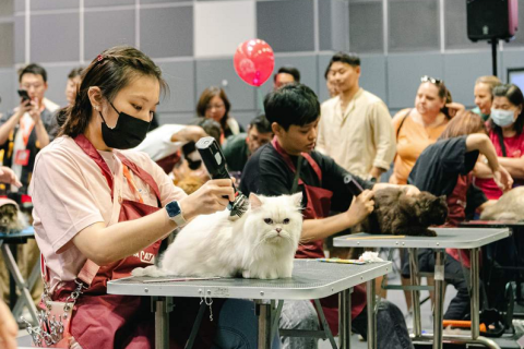 香港猫迷博览会展会现场图片