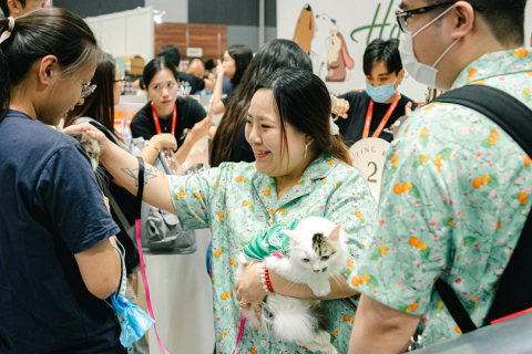 香港猫迷博览会展会现场图片