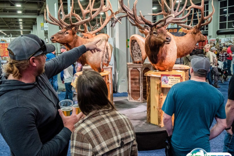 澳洲澳大利亚户外及狩猎用品展览会展会现场图片