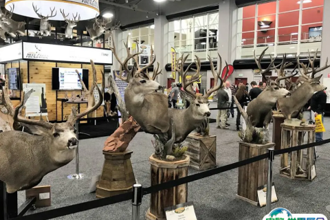 澳洲澳大利亚户外及狩猎用品展览会展会现场图片