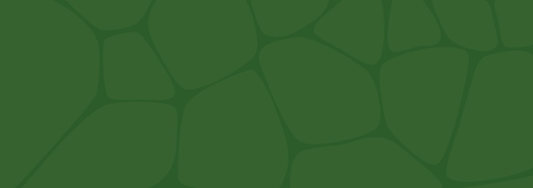 2026年BIOFACH德国纽伦堡有机食品贸易展