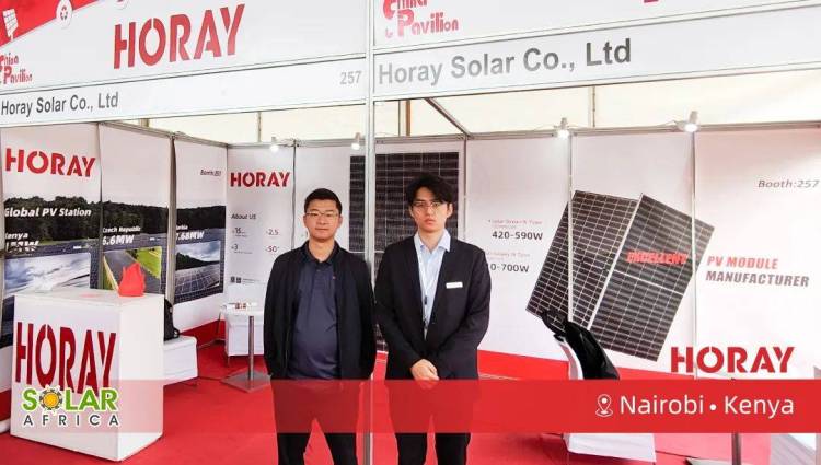 展会速递｜禾润电力亮相2025年第十届非洲太阳能展，以务实布局助力非洲能源转型