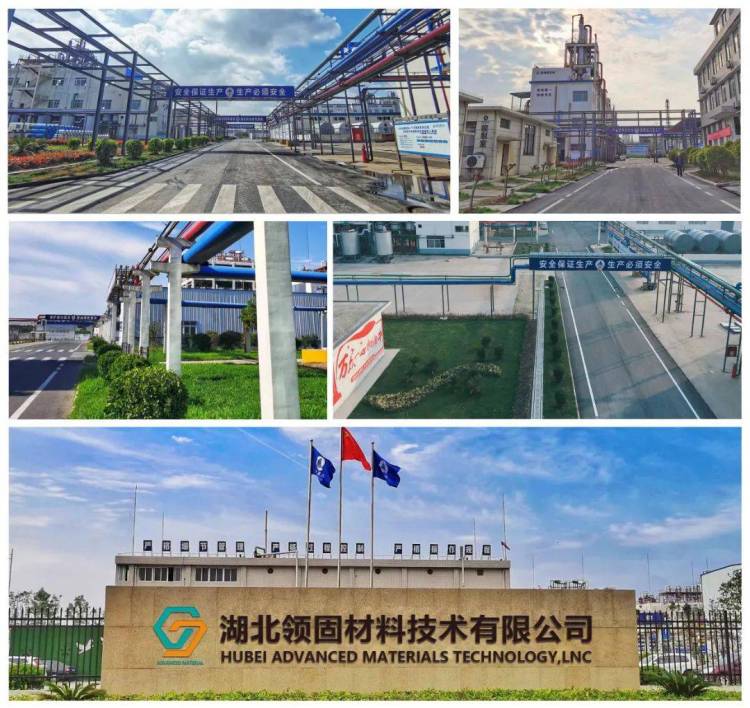 圆满收官|湖北领固2025越南涂料展